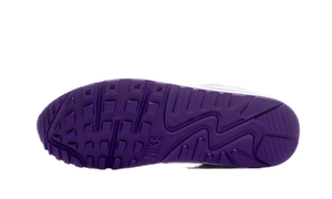 Air Max 90 Voltage Purple