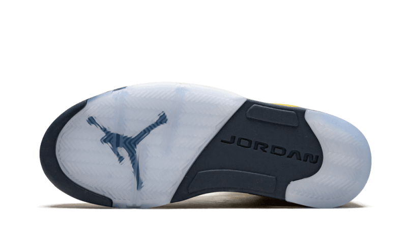 Air Jordan 5 Retro Michigan "Inspire" (2019)