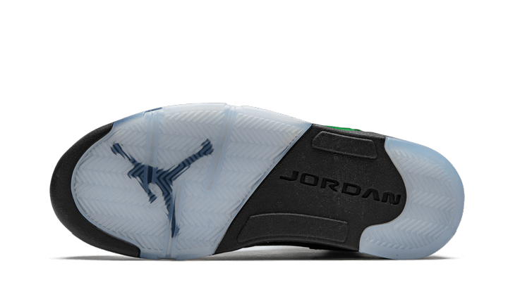 Air Jordan 5 Retro SE Oregon