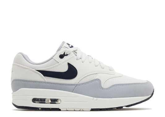 Nike Air Max 1 Platinum Tint Dark Obsidian (9865087975751)