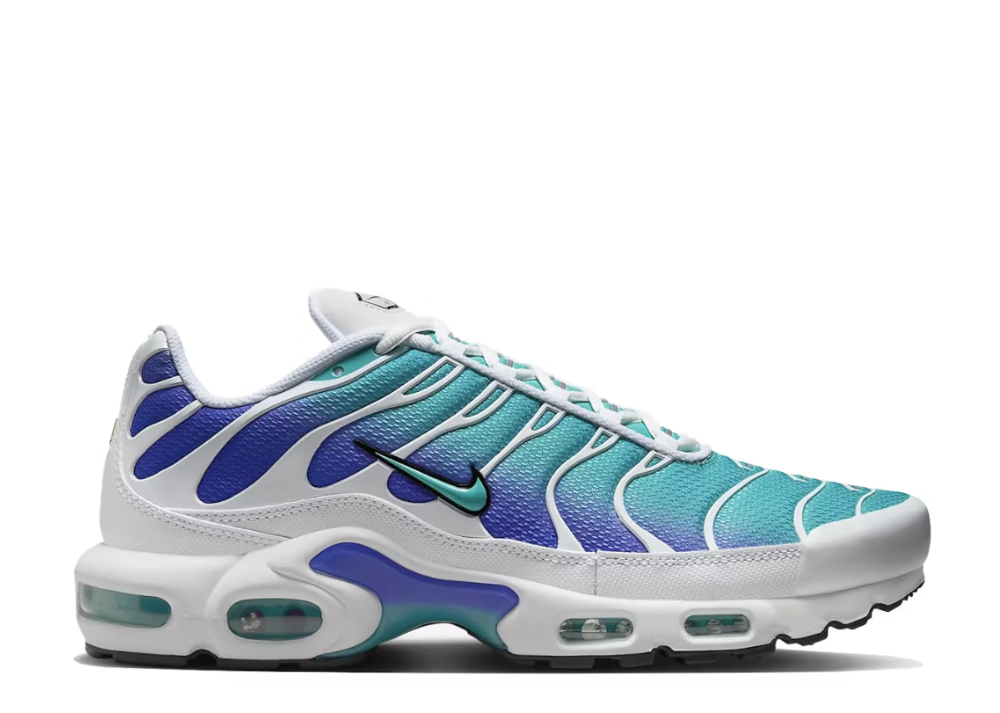 Nike Air Max Plus Aqua (9864915353927)