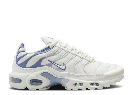 Nike Air Max Plus Ashen Slate (9865058124103)