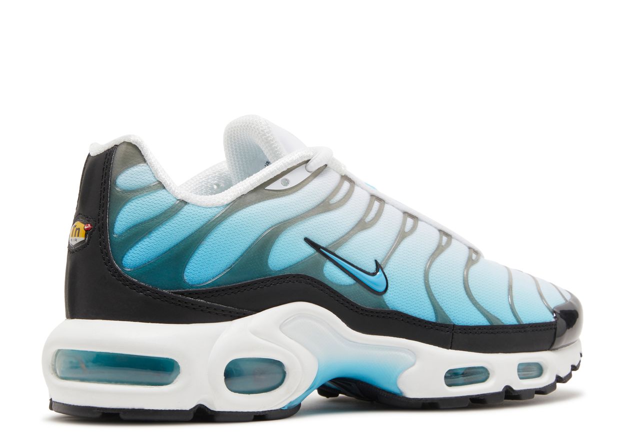 Nike Air Max Plus Baltic Blue (9865531326791)