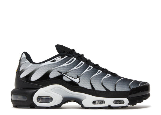 Nike Air Max Plus Black Silver White (9865124741447)