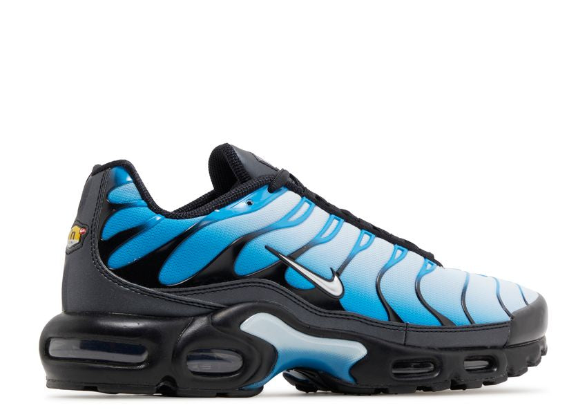 Nike Air Max Plus Blue Gradient (9865480831303)