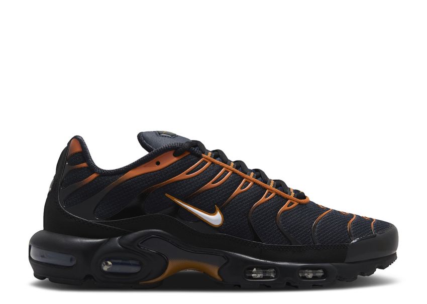 Nike Air Max Plus Dark Obsidian Monarch (9865035383111)