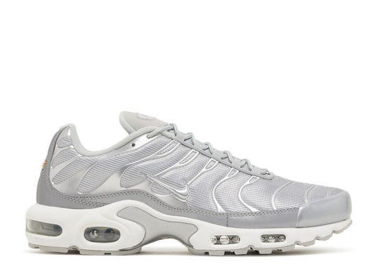 Nike Air Max Plus Metallic Silver (9864913977671)