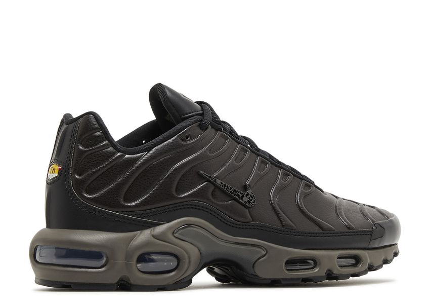 Nike Air Max Plus Premium Paris (9865042231623)