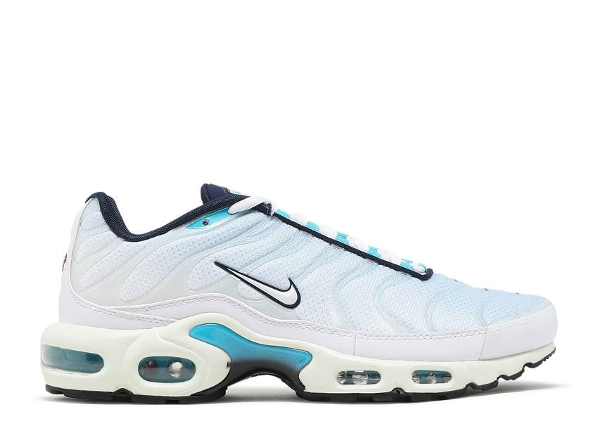 Nike Air Max Plus Psychic Blue White (9864914010439)