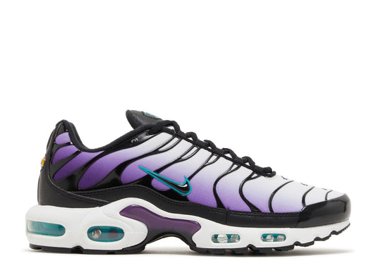 Nike Air Max Plus Reverse Grape (9865536274759)