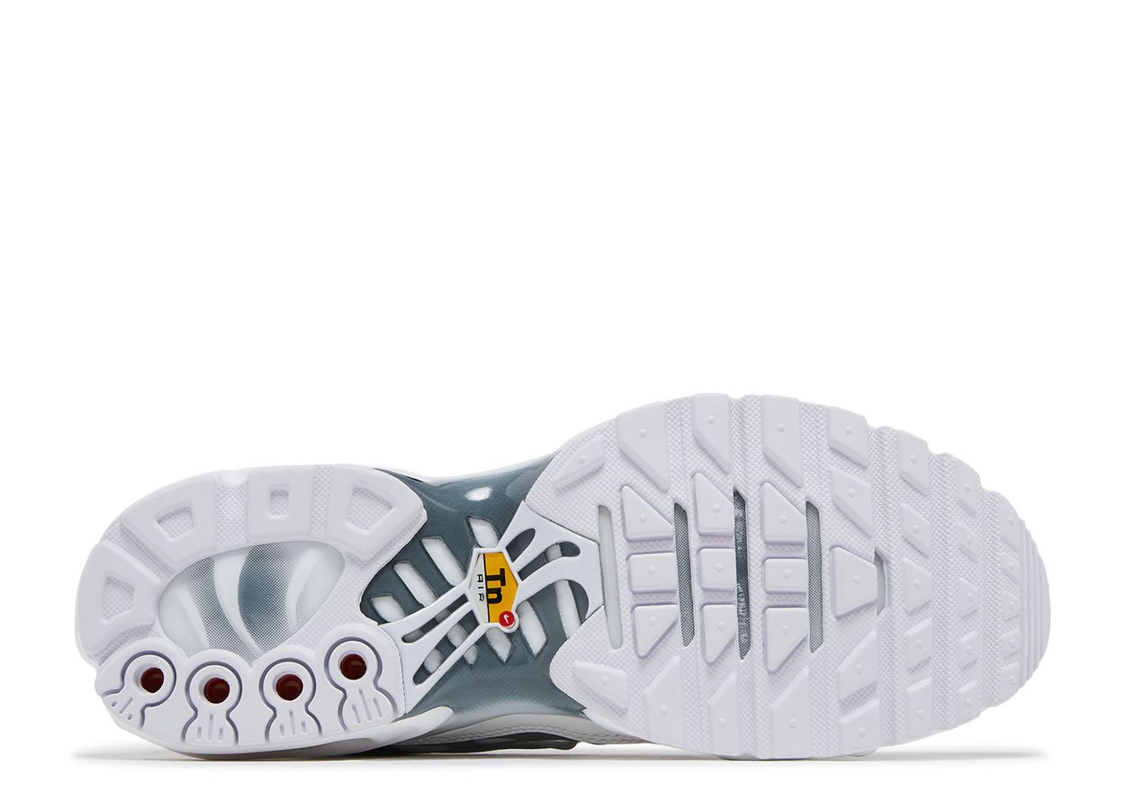 Nike Air Max Plus White Metallic Silver (9916790604103)