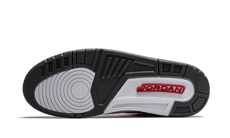 Air Jordan 3 Retro Cool Gray (2021)