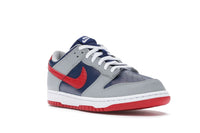 Nike Dunk Low CO.JP Samba 2020