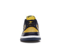 Nike Dunk Low Michigan 2021