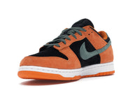 Nike Dunk Low Ceramic