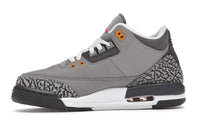 Air Jordan 3 Retro Cool Grey 2021