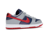 Nike Dunk Low CO.JP Samba 2020