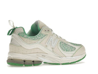 New Balance 2002R GANNI Turtledove