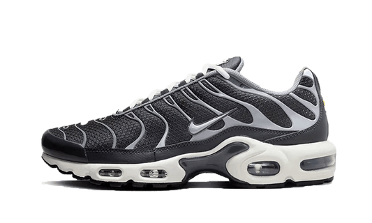 Air Max Plus SE Greyscale Cool Gray 