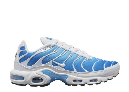 Nike Air Max Plus Sky Blue (9865150497095)