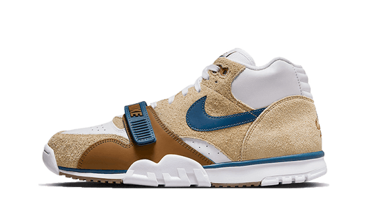 Air Trainer 1 Ale Brown (6771159761223)