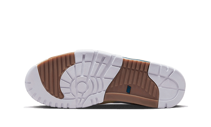 Air Trainer 1 Ale Brown (6771159761223)