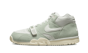 Air Trainer 1 Enamel Green (6771142066503)