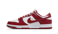 Dunk Low USC