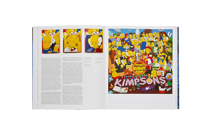 Artbook KAWS (8838762070343)