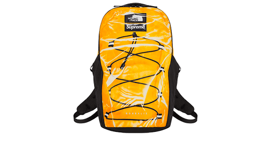 The North Face Printed Borealis Backpack Yellow