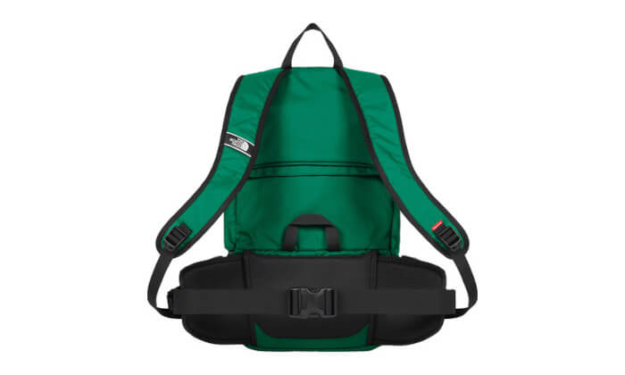 The North Face Trekking Convertible Backpack Green