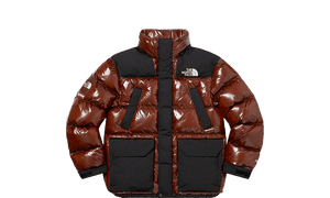 The North Face 700-Fill Down Parka Brown