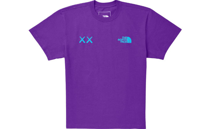 KAWS Tee Gravity Purple (6771119817031)